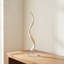 Polished White Kudu Horn Inner on Lucite Stand-570586156