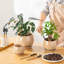 Ceramic Pot Planter-534234028-534234031