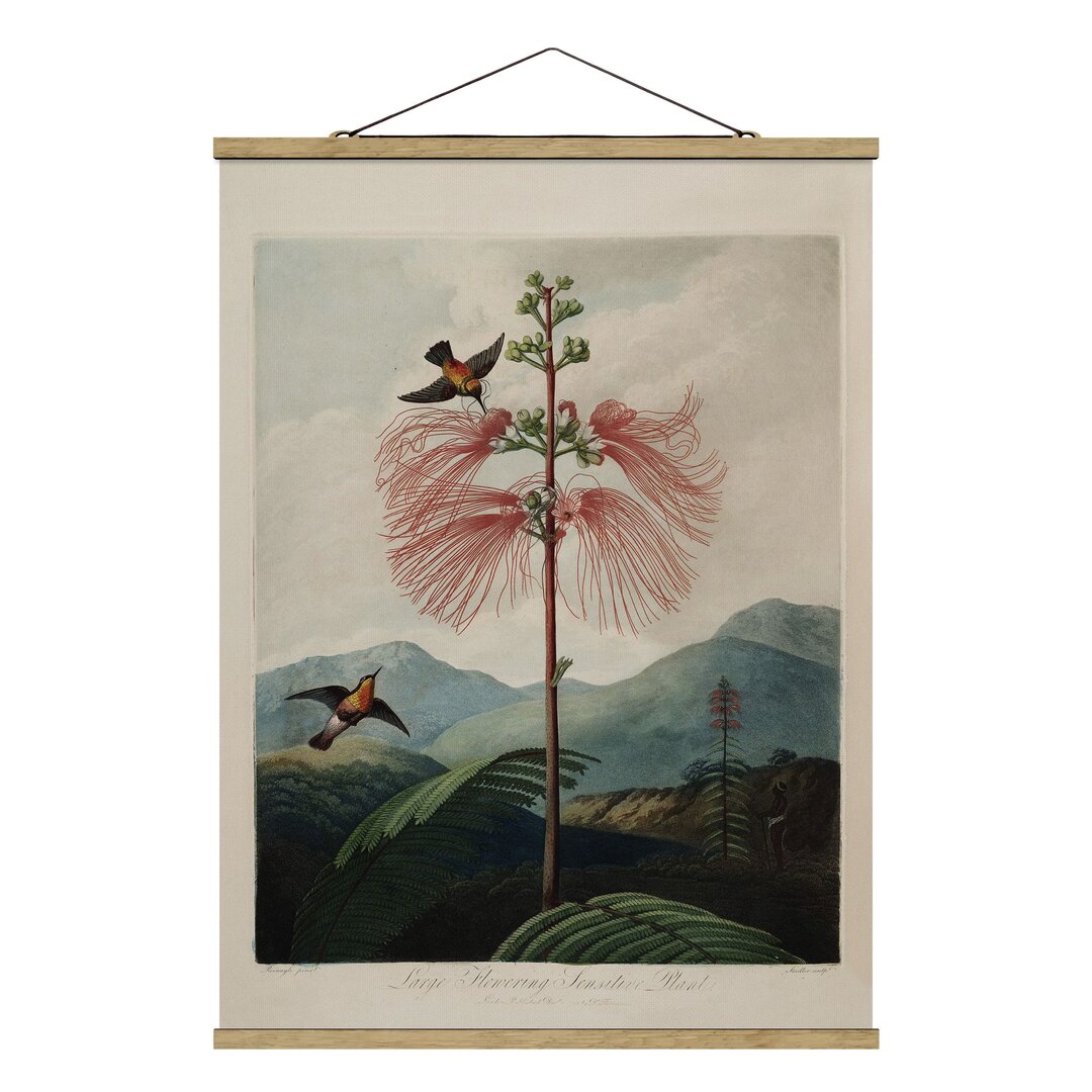 Stoffbild Botanik Vintage Illustration Blume und Kolibri