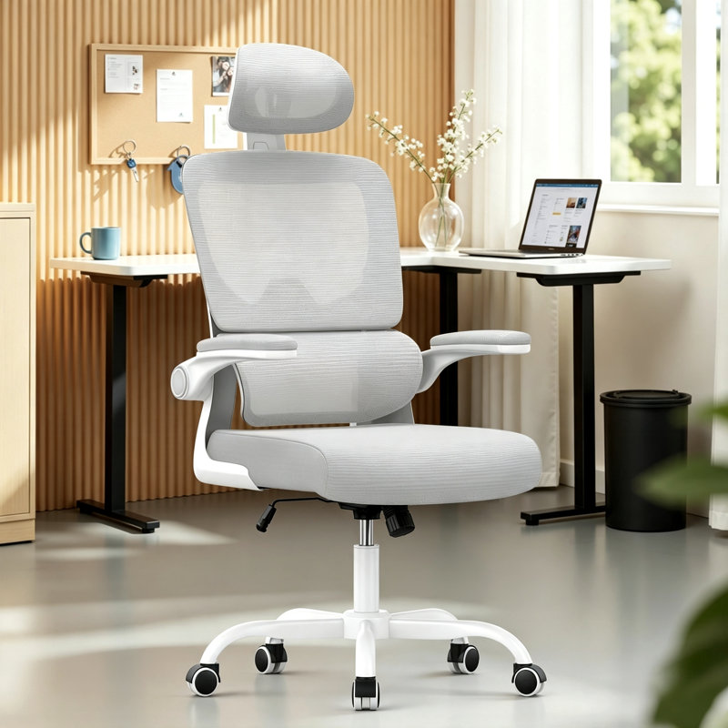 Motonobu Ergonomic Office Chair with Mesh Lumbar Support, Grey, White