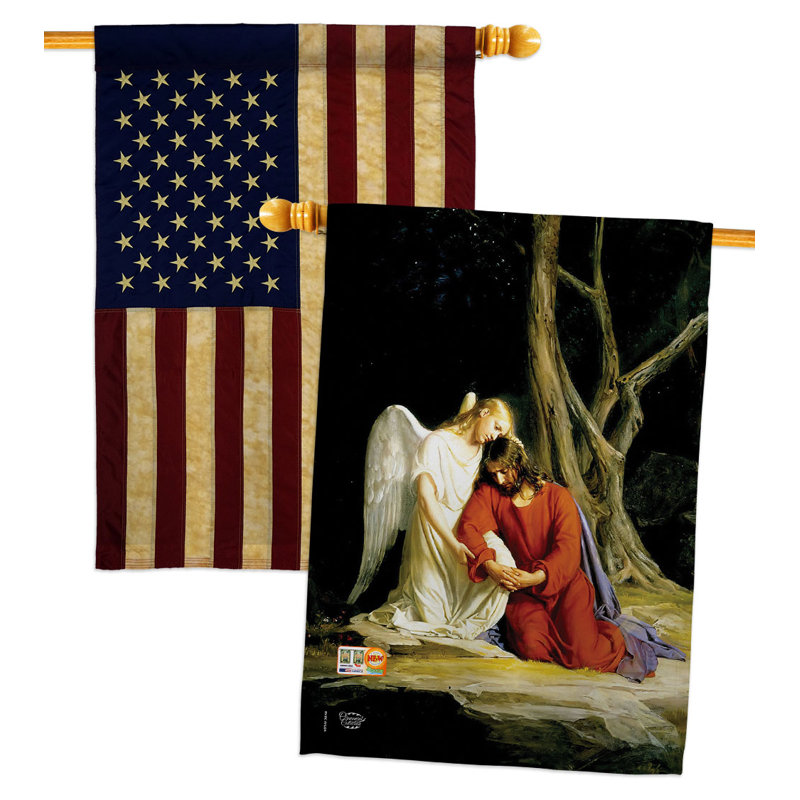Double Sided 40'' H x 28'' W Polyester House Flag