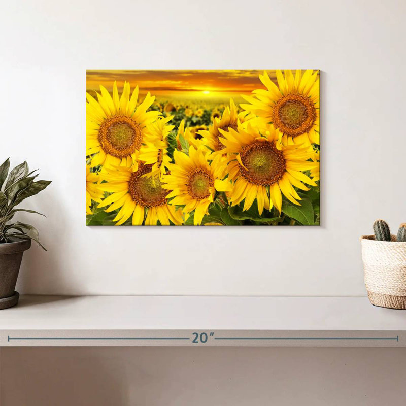 Harnek tournesol coucher de soleil horizon, H 8 po x l 12 po