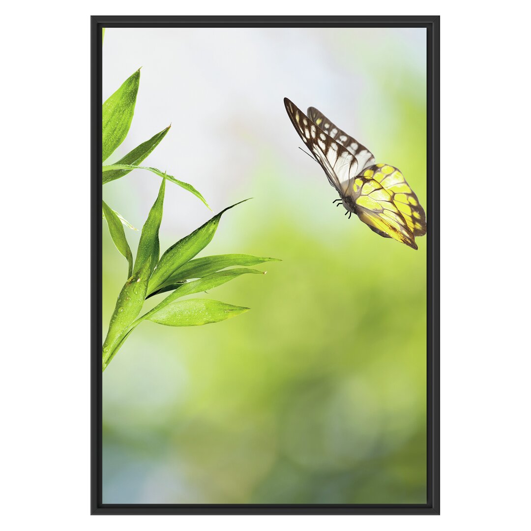 Gerahmtes Wandbild Bambus mit Schmetterling