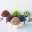 Centre de table fleurs en pot-232208207