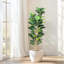 Figuier figuier figuier avec grand pot à fleurs blanc, faux arbres avec plantes artificielles 56 feuilles de violon-110257960