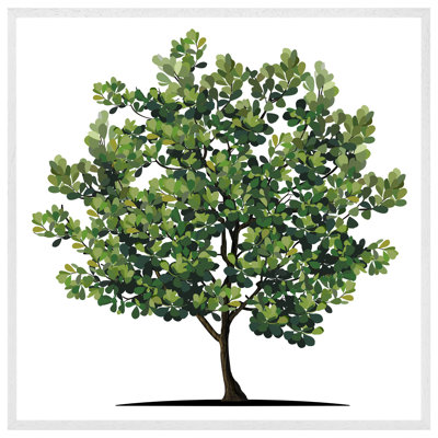 Evaro Tree - Single Picture Frame Print