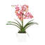 Faux Orchid Plant In White Vase-1049804023-1049804020
