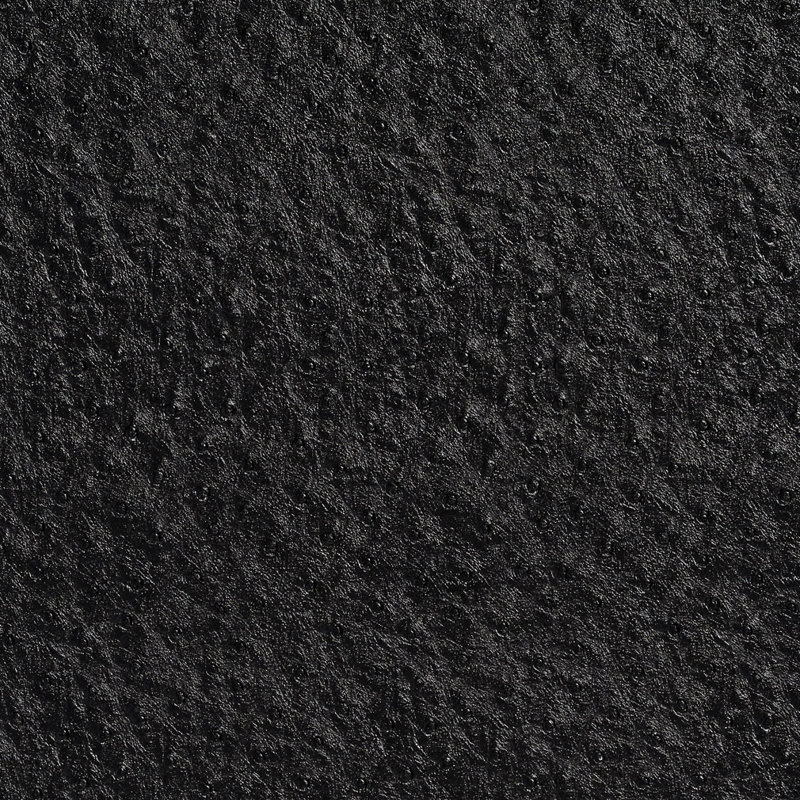Vinyle autruche, Noir