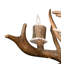 Rustic Lodge 16 - Light Chandelier