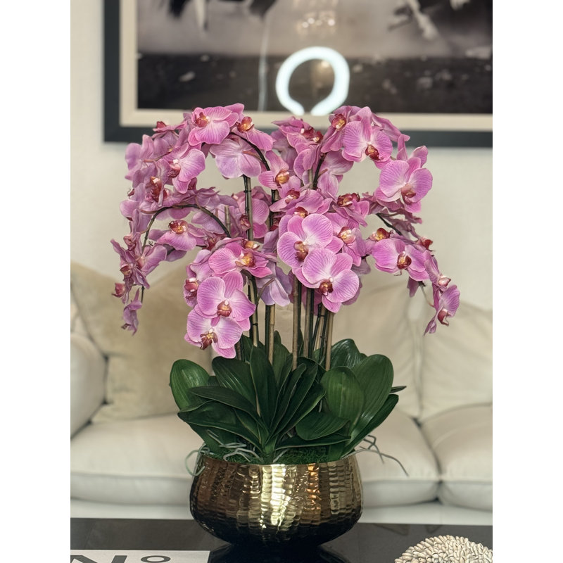 Roberi Orchid Arrangement in Planter, 28" H x 18" W x 18" D