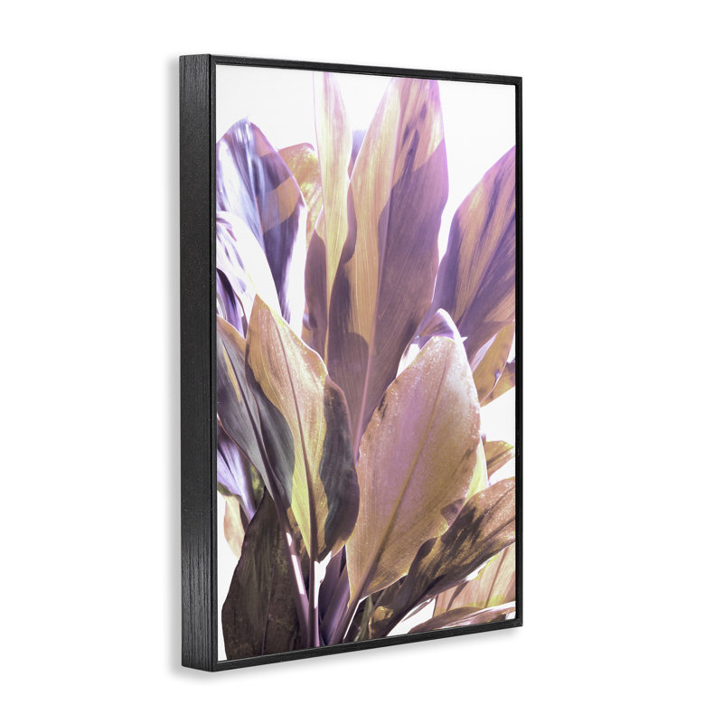 Giclée de feuilles tropicales éclairées, design par Gemma Bardot, H 18 po x l 12 po, Giclée encadrée noir minuit