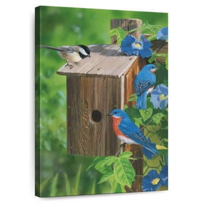 Birds At The Feeder Bluebirds