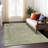 Machine Washable Indoor/Outdoor Claudian ACN1645 Sage Rug-109535377