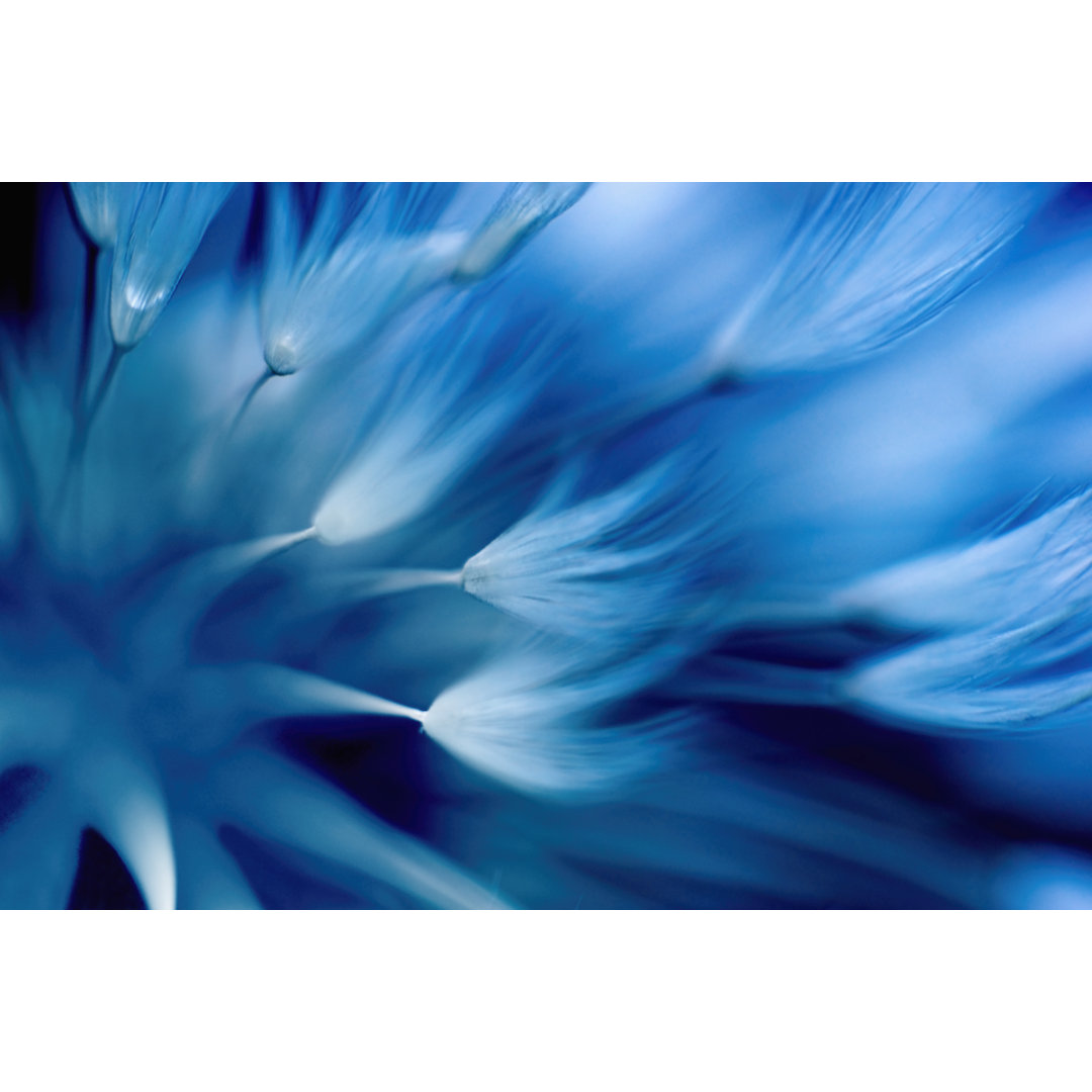 Blurred Flower by Tunatura - Wrapped Canvas Print