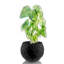 Handmade Pot Planter-52454952