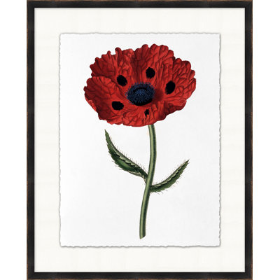 Red Flower 6 Print
