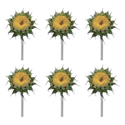 Tige de tournesol (ensemble de 6)