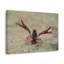 Crawfish Hunting Crawfish on Hunt Print Animal Wall Art-1261828558