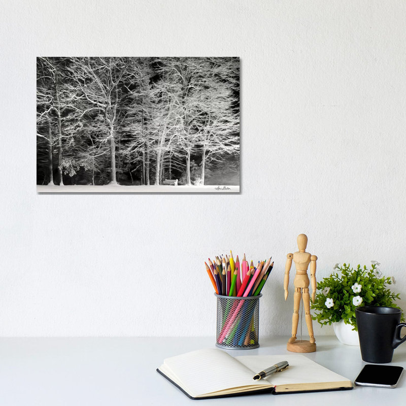 Snowy Trees by Lori Deiter - Wrapped Canvas Print, 20.32 cm H x 30.48 cm W