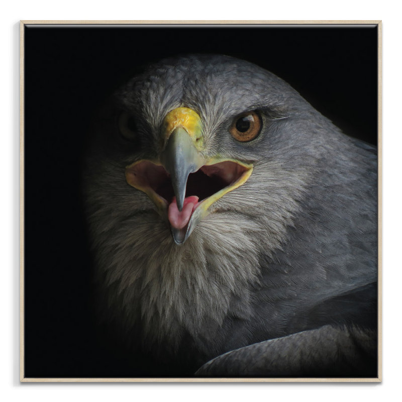 Print on Canvas, Timber, 41cm H x 41cm W