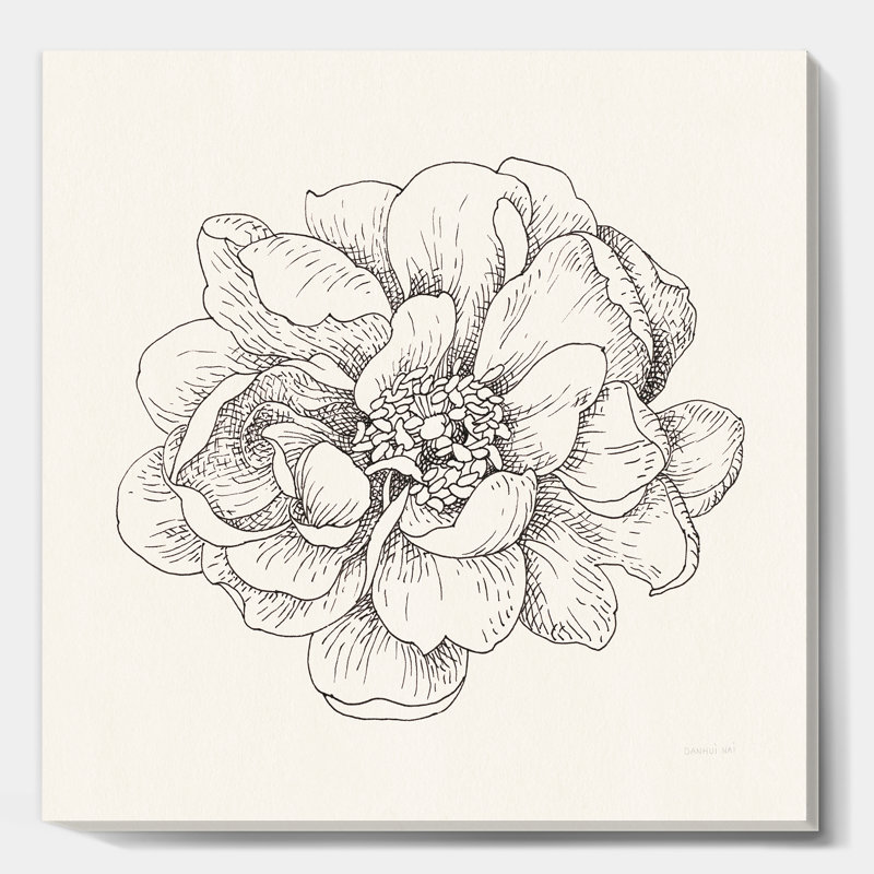 «Pen and Ink Florals IV», reproduction d'art sur toile tendue, H 16 po x l 16 po x P 1 po