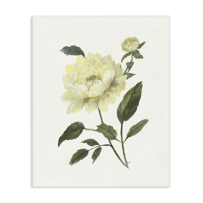 Toile crème pivoine de jardin avec bourgeons, design par Nan