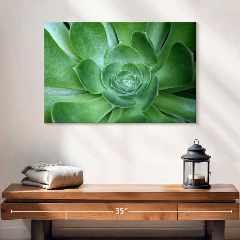 Succulant simple Harnek, H 16 po x l 24 po