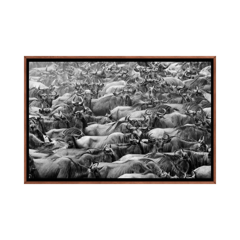 Wildbeests by Torsteinn H. Ingibergsson - Floater Frame Print on Canvas, Brown Floater Frame, 66.04 cm H x 45.72 cm W