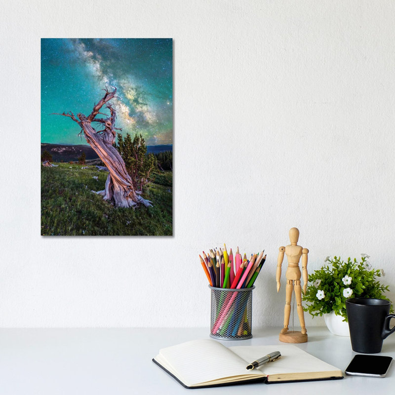Milky Way Night Sky Over Ancient Bristlecone Pine Tree In Colorado 1 Piece Wall Art on Canvas, Does Not Apply
