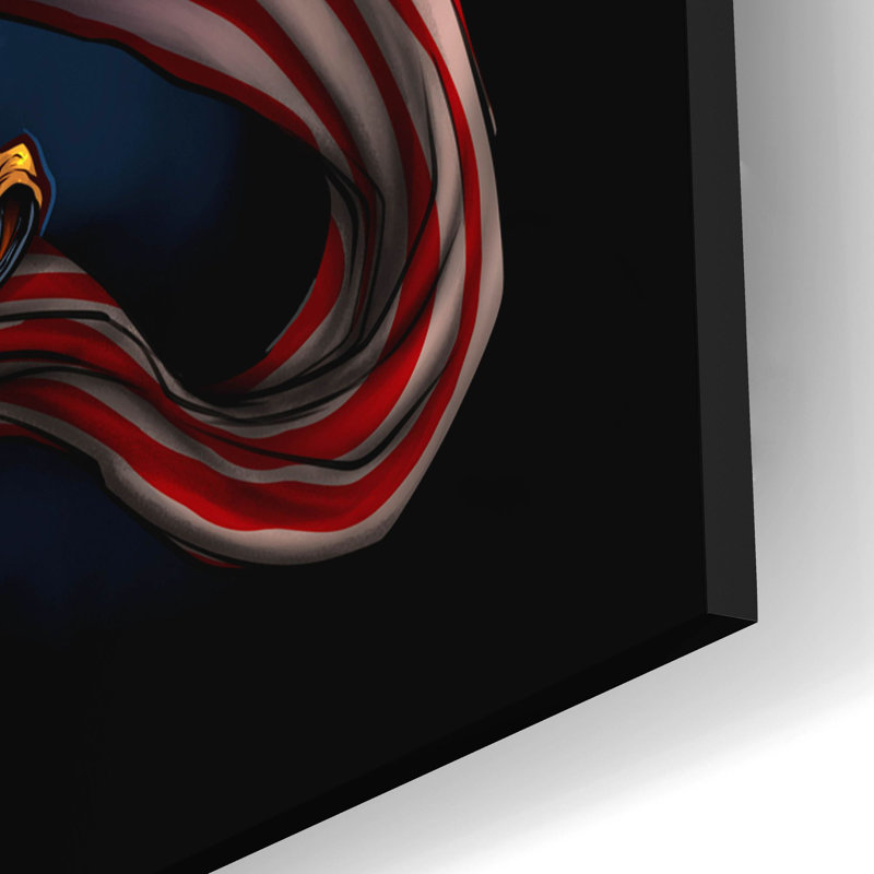 Red Barrel Studio® «Eagle and Flag» par Flyland Designs, art mural en verre acrylique,, H 16 po x l 12 po x P 0,13 po
