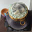 Witch''s Cauldron Bookends