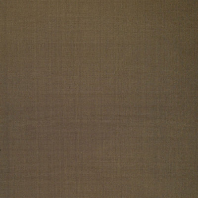 Anniston Silk Taffeta Fabric