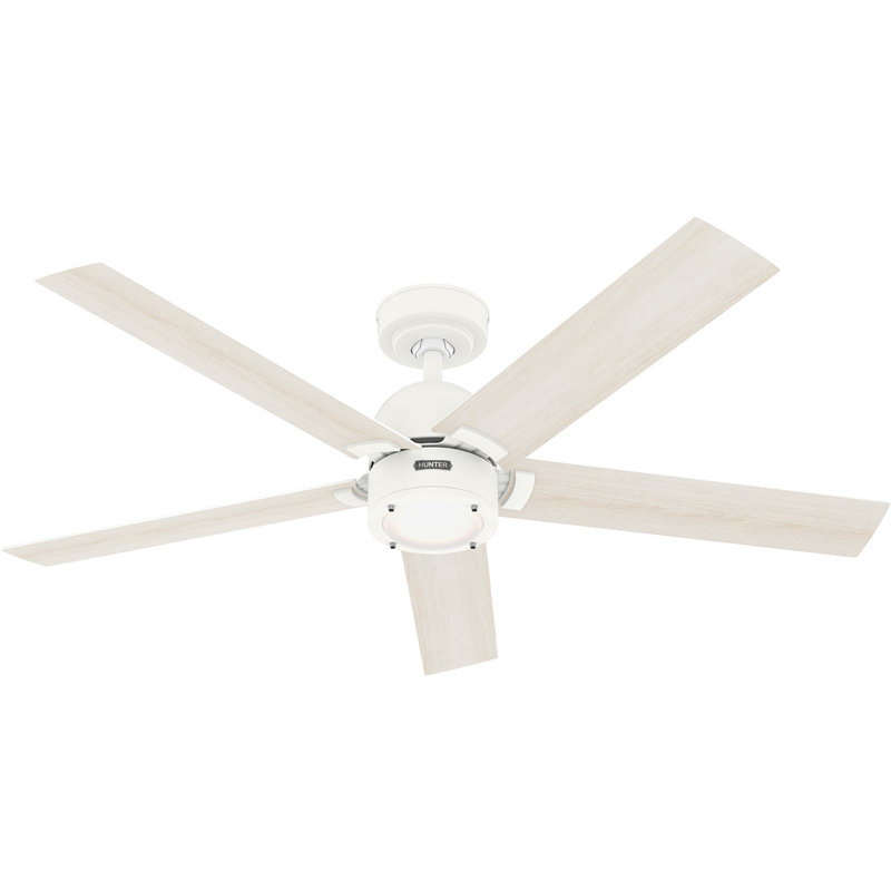 Ventilateur de plafond 52 po Erling ENERGY STAR® avec lumières et télécommande Hunter, Blanc, Blanc / bois blanc