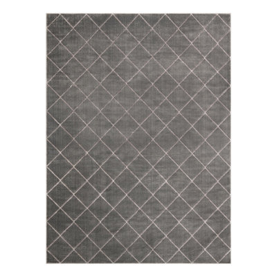 Latitude Run® Checks Novica Rug Gray and Silver