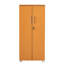 Fonte Storage Cabinet with Lock, 2 Door 2 Shelf Storage Cupboard File Cabinet-126002821