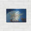 Art mural en métal Beachcrest Home ™ «Lion Fish» par Durwood Coffey-1741654619