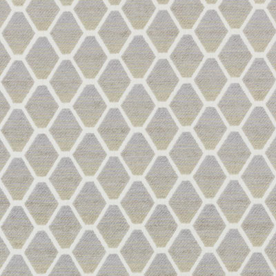Bailey & Griffin Influences Wovens Harlequin Fabric