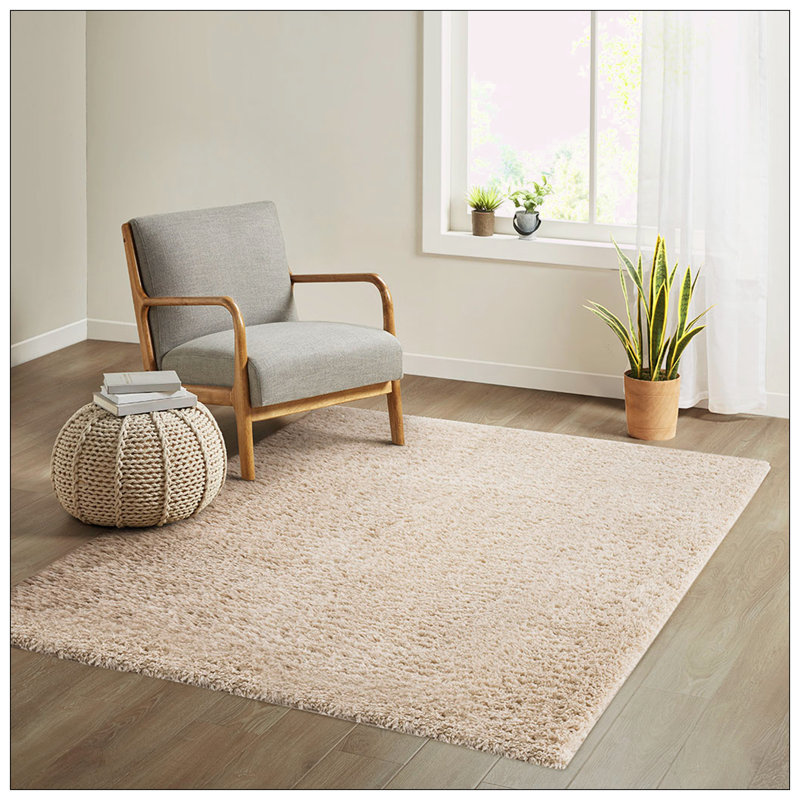 Super Soft Polyester Shag Area Rug, Rectangle 3'11" x 5'11"