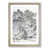 Oak Framed selected