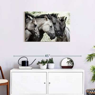 Van Den Four Konik Horses