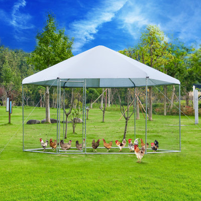 Grand poulailler en métal pour poulets avec couvercle imperméable et anti-UV, 13 pi x 11,4 pi x 8,6 pi