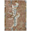 Tapis Chantille ACN3109 à motif animal, lavable à la machine, intérieur/extérieur-70466096-70466122