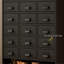 Ginder-67918030