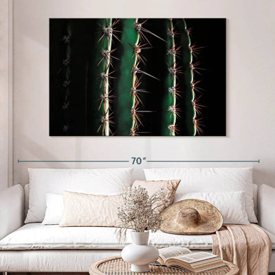 Gros plan d'un cactus épineux