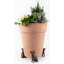 Pieds de jardinière Chihuahua