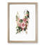Hollyhock Flower Illustration - Framed Print-55642007-55642009