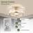 Glenalee 27.5'' Ceiling Fan with LED Lights