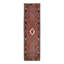 Oriental Area Rug in Rust