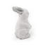 Collmar Animal Rabbit-151450690