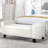 Upholstered Storage Bench End of Bed-836252-4147388